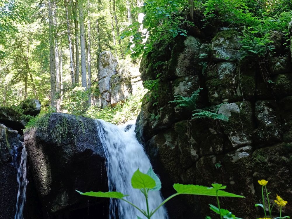 Grosser Höllbachwasserfall