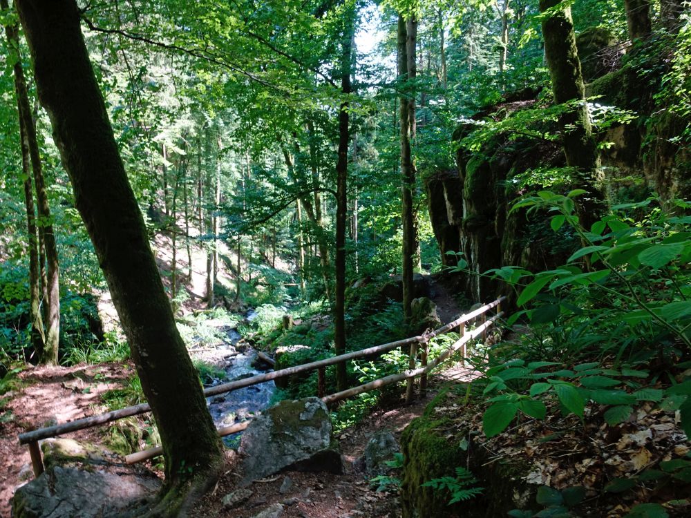 Albsteig und Höllbach