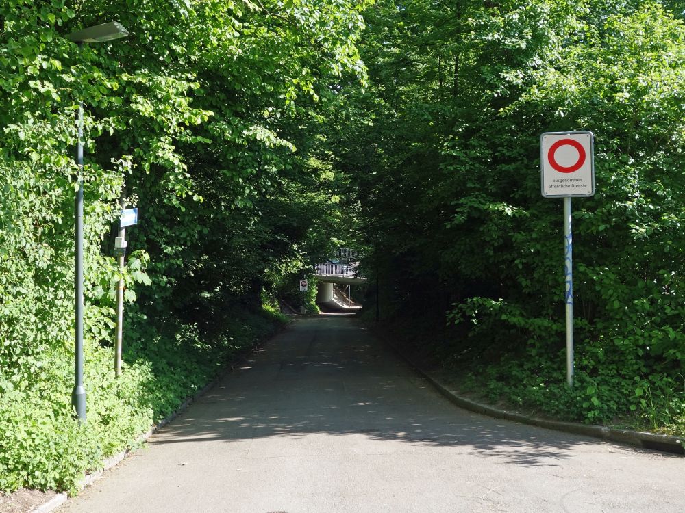 Holbrigstrasse