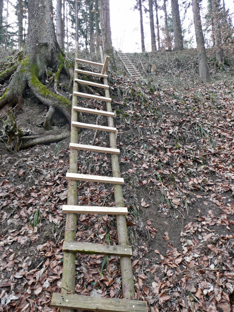 Leitern zum Jgerstand