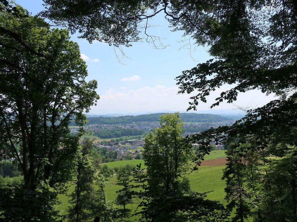 Blick Richtung Bischofszell