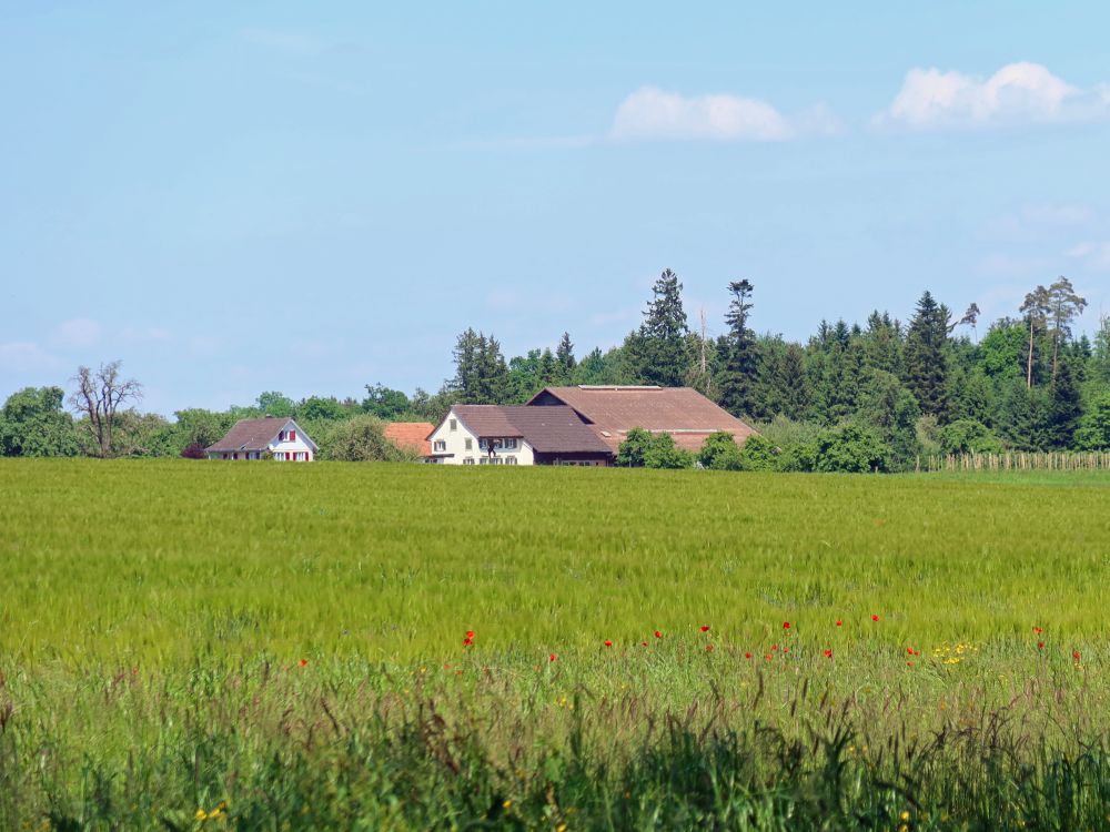 Bauernhof bei Bernhausen