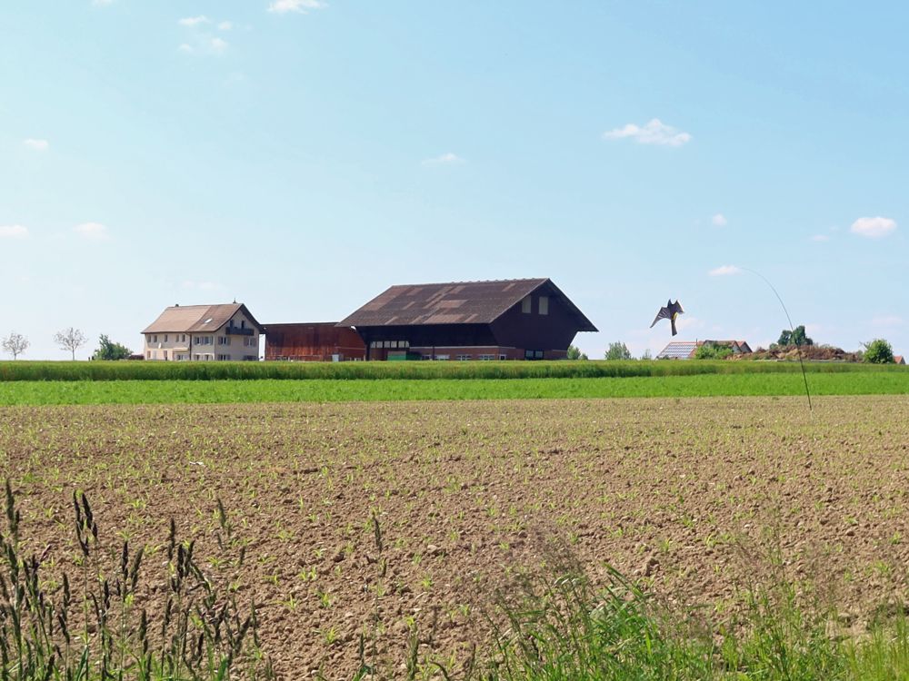 Bauernhof Neurüti und Vogelscheuche