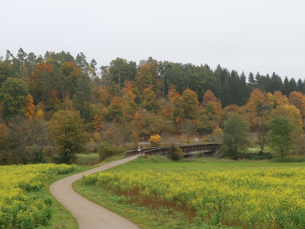 Herbstfarben und Donausteg