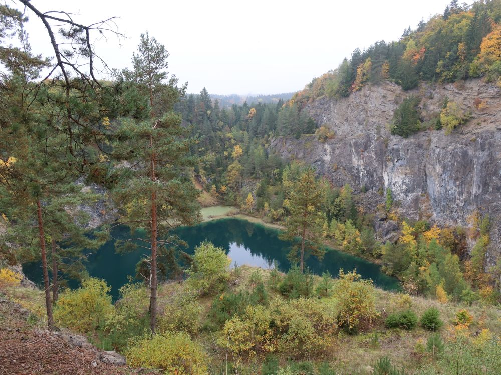 Steinbruch Höwenegg