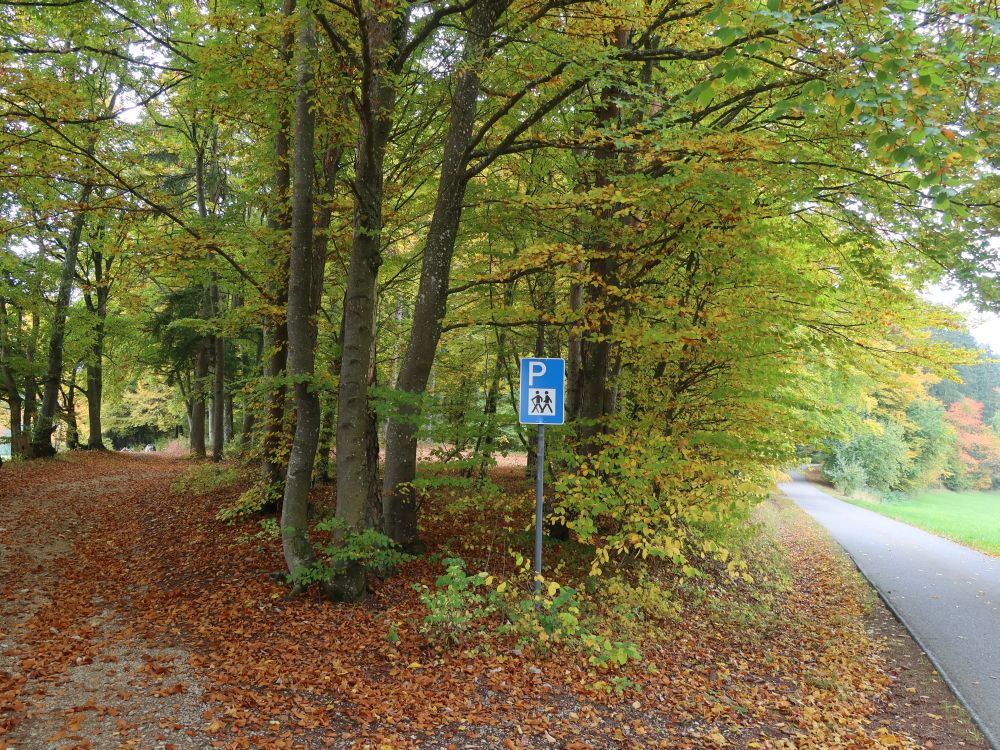 Waldparkplatz Kleine Reute