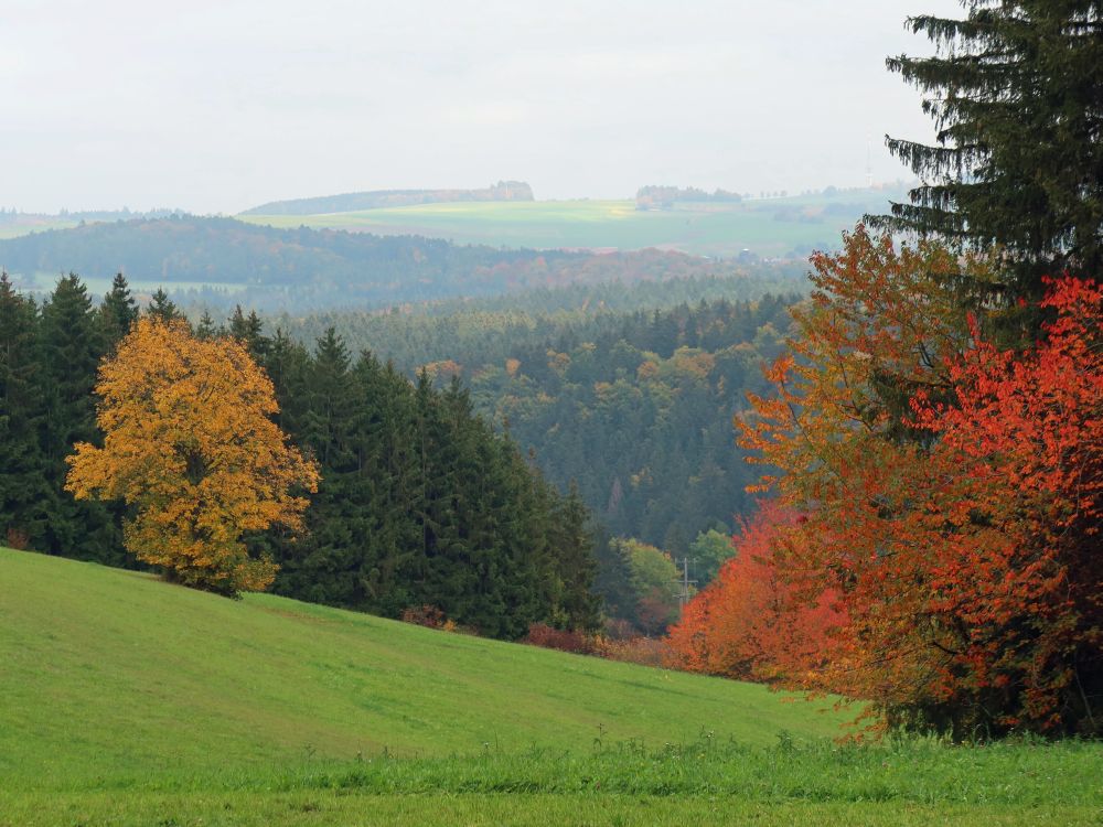 Herbstfarben