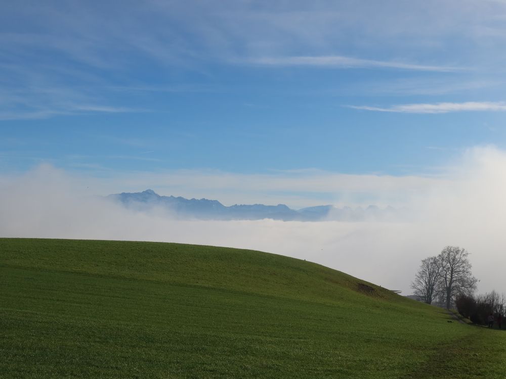 Säntis bis Lütispitz