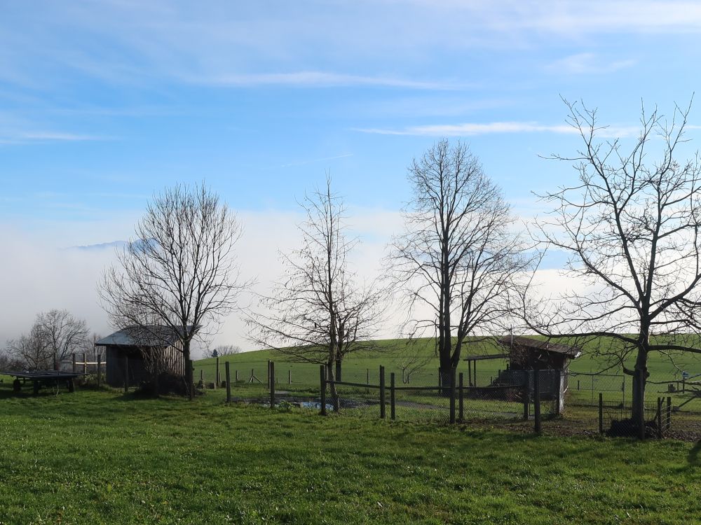 Hütten bei Oberer Hofberg