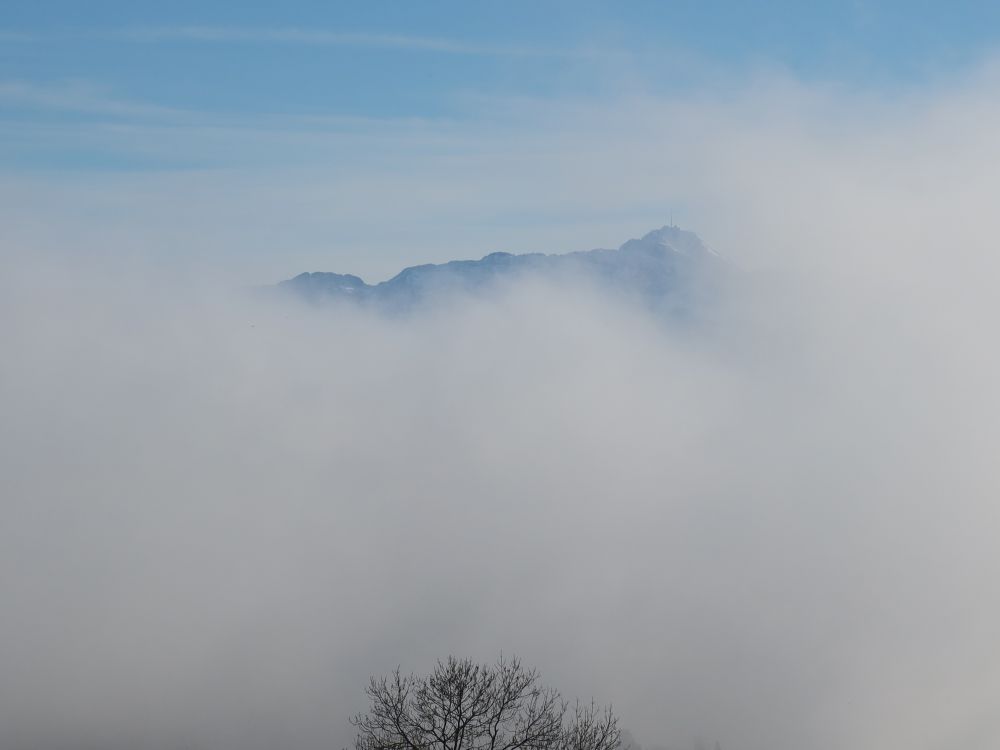 Säntis überm Nebel