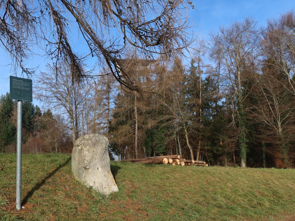 Grenzstein von 1647 und Wiler Turm