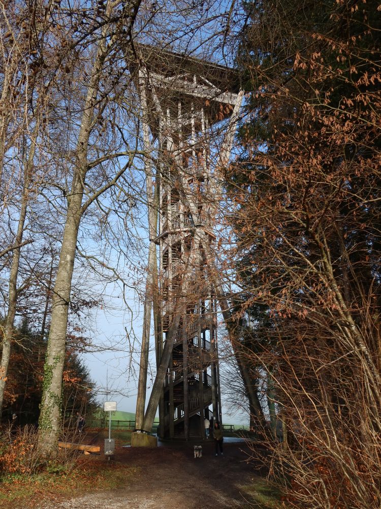 Wiler Turm