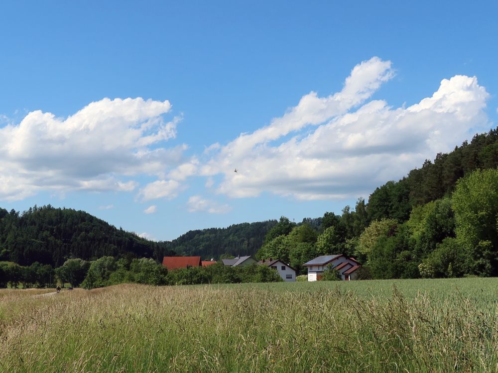 Häuser von Neumühle