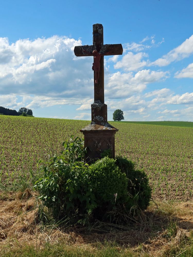 Wegkreuz an der Schlossstrasse