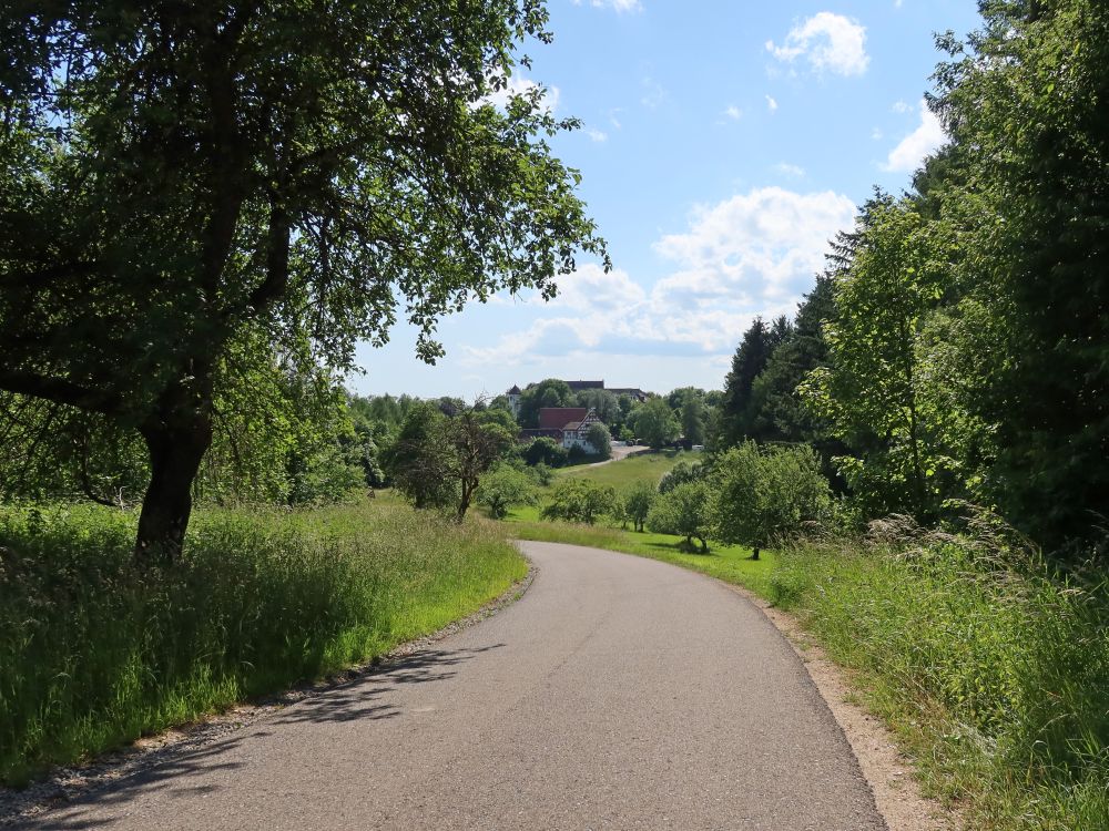 Blick zum Schloss Hohenfels