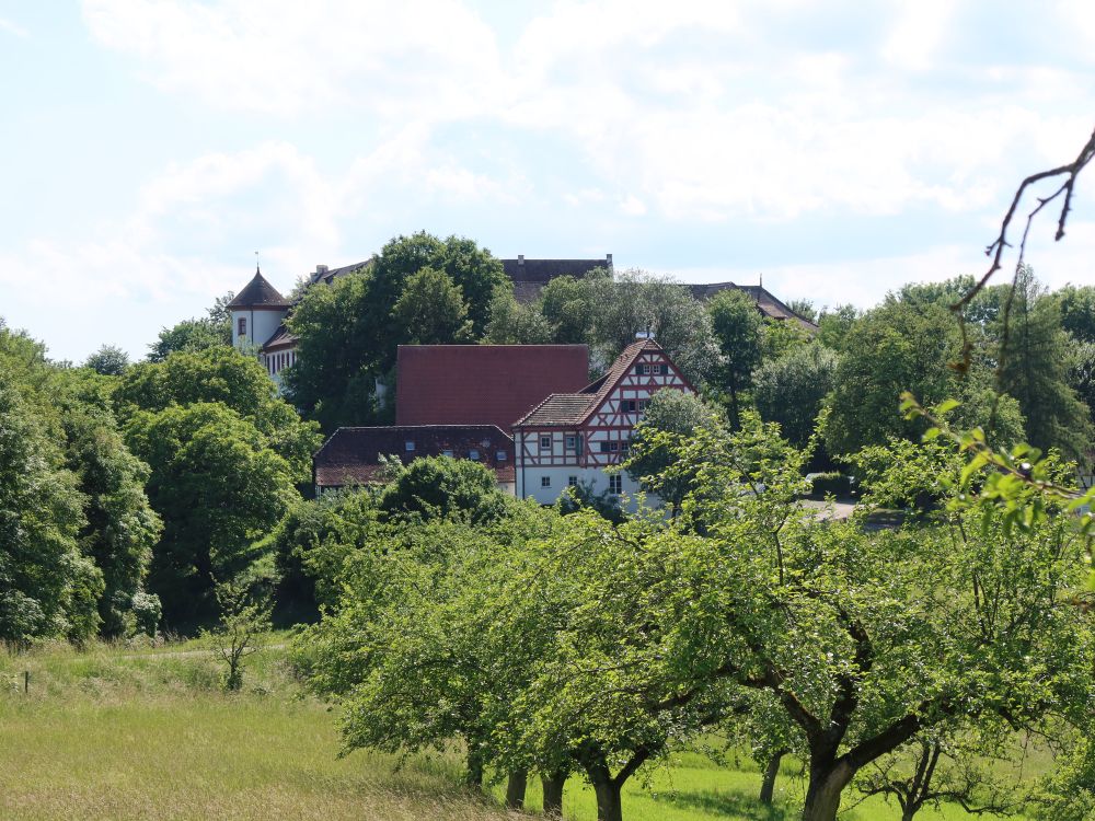 Schloss Hohenfels