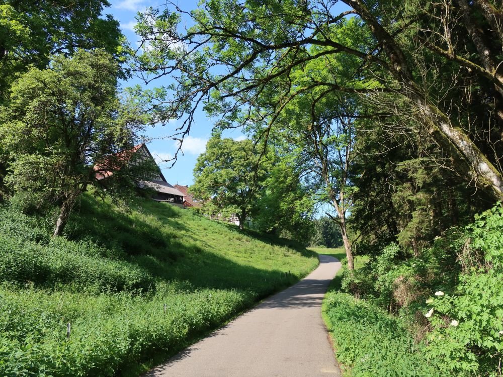 Schlossstrasse unter Schloss Hohenfels