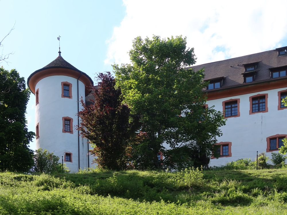 Schloss Hohenfels