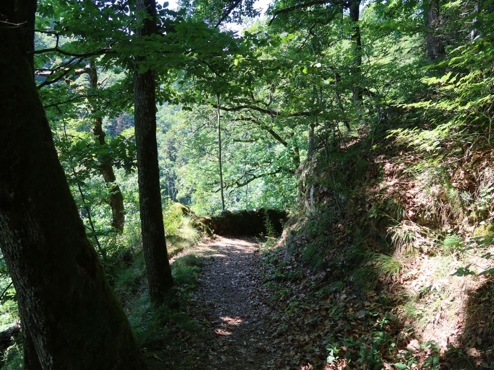 Albsteig