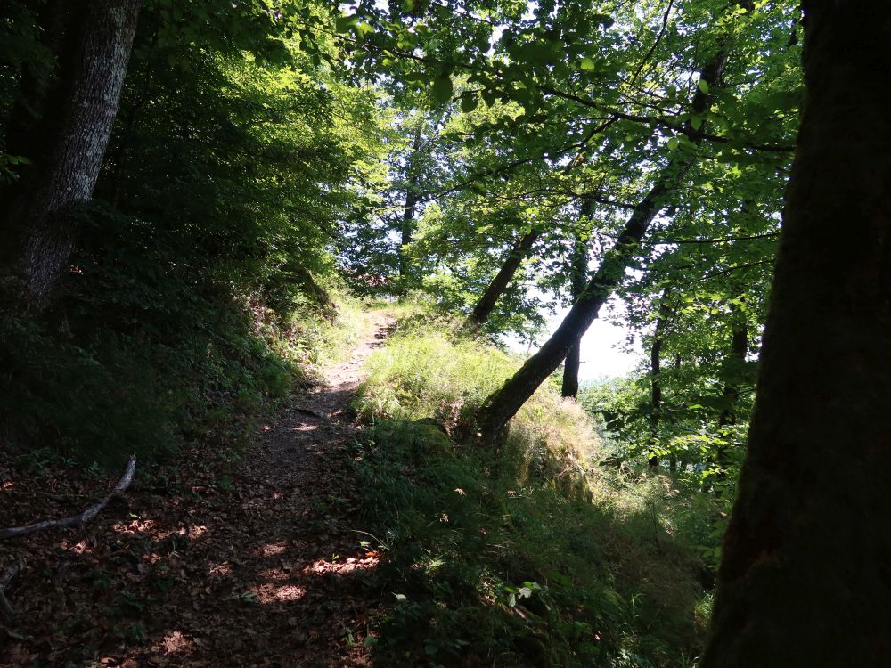 Albsteig