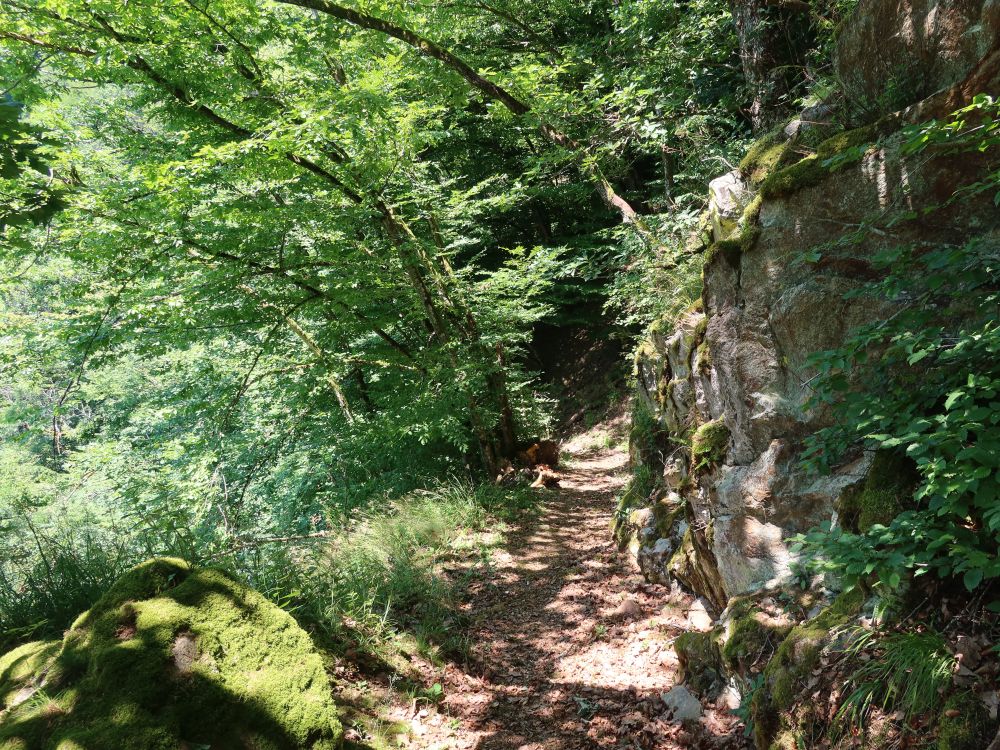 Albsteig