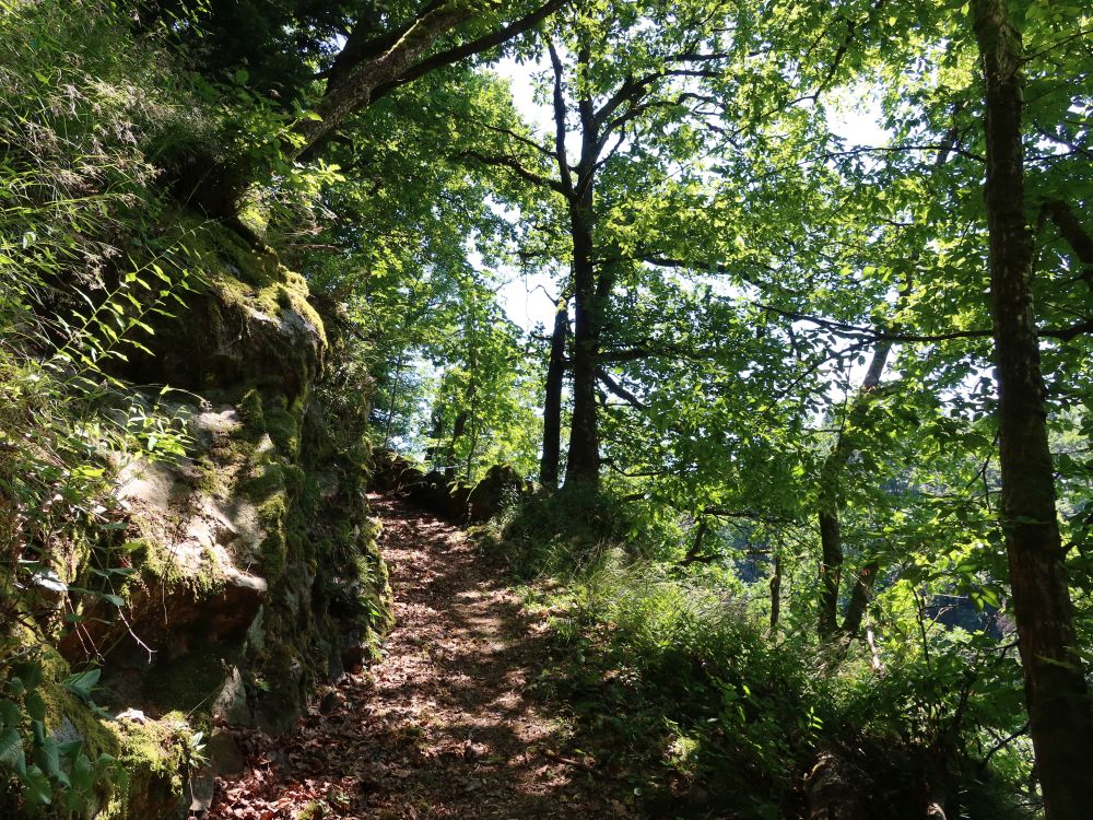 Albsteig