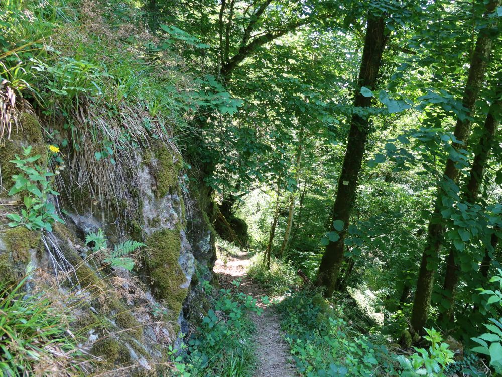 Albsteig