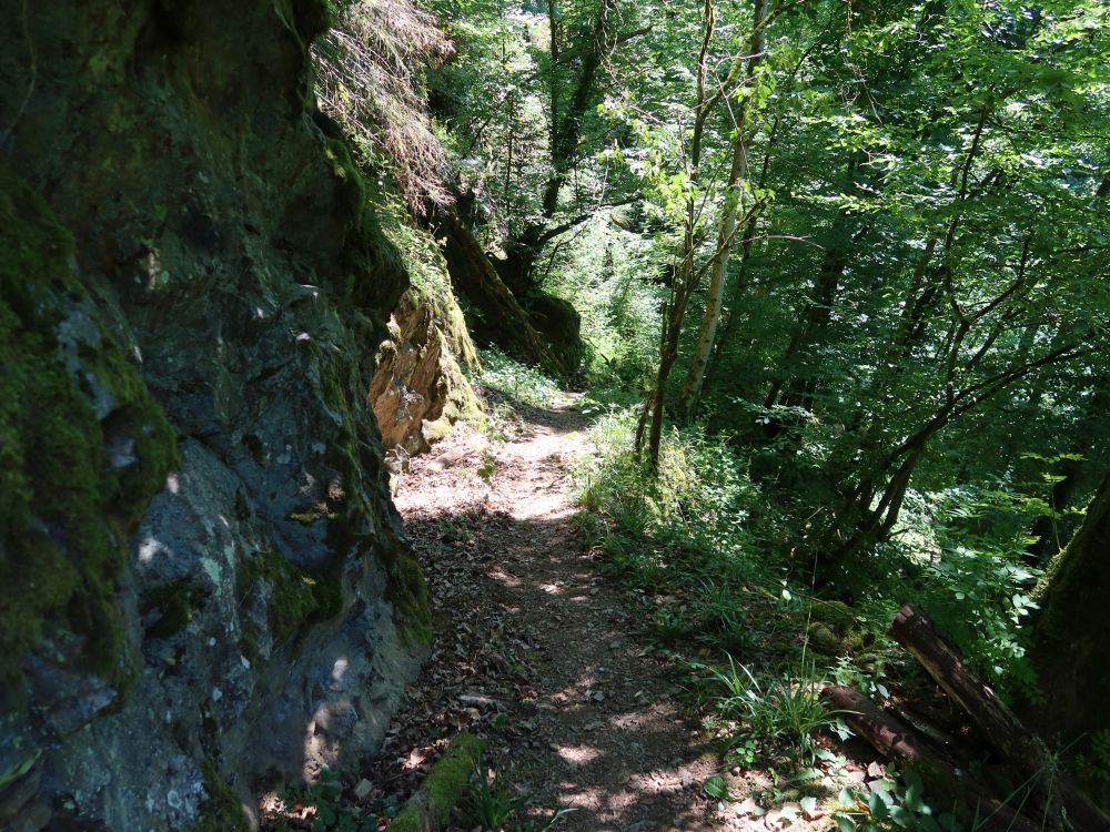 Albsteig