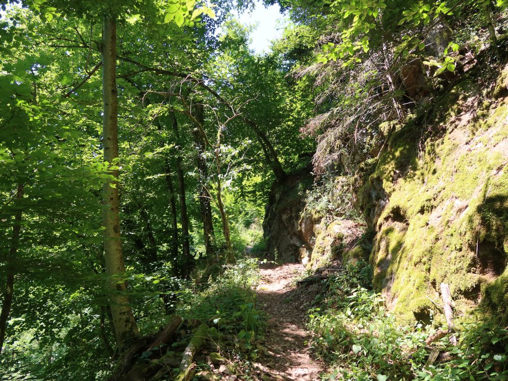 Albsteig