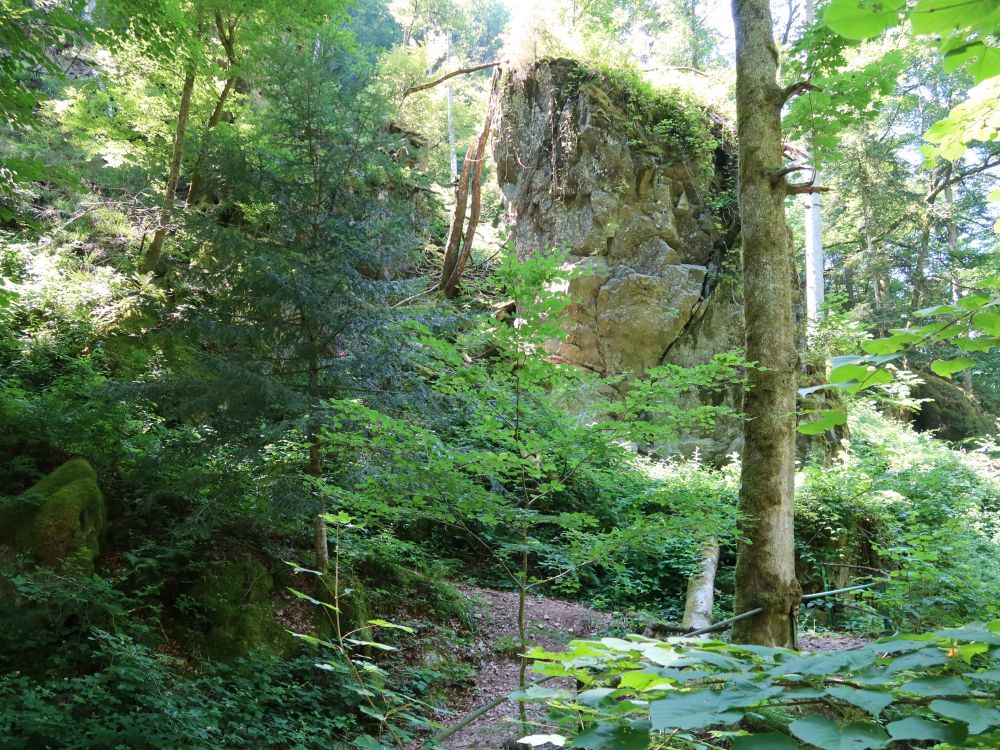 Fels am Albsteig