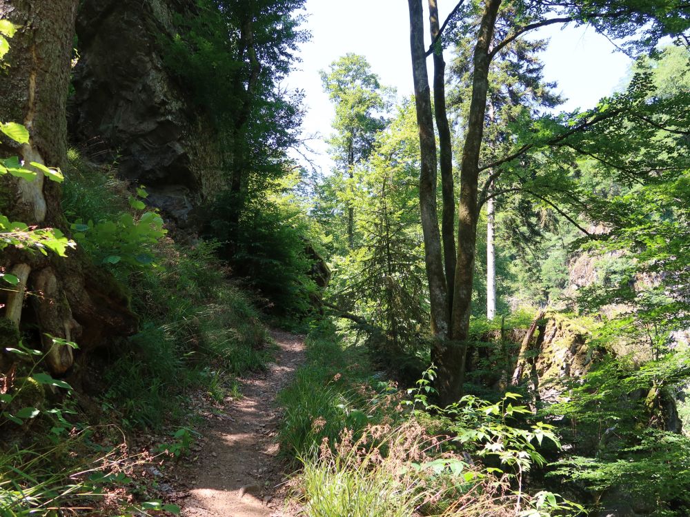 Albsteig