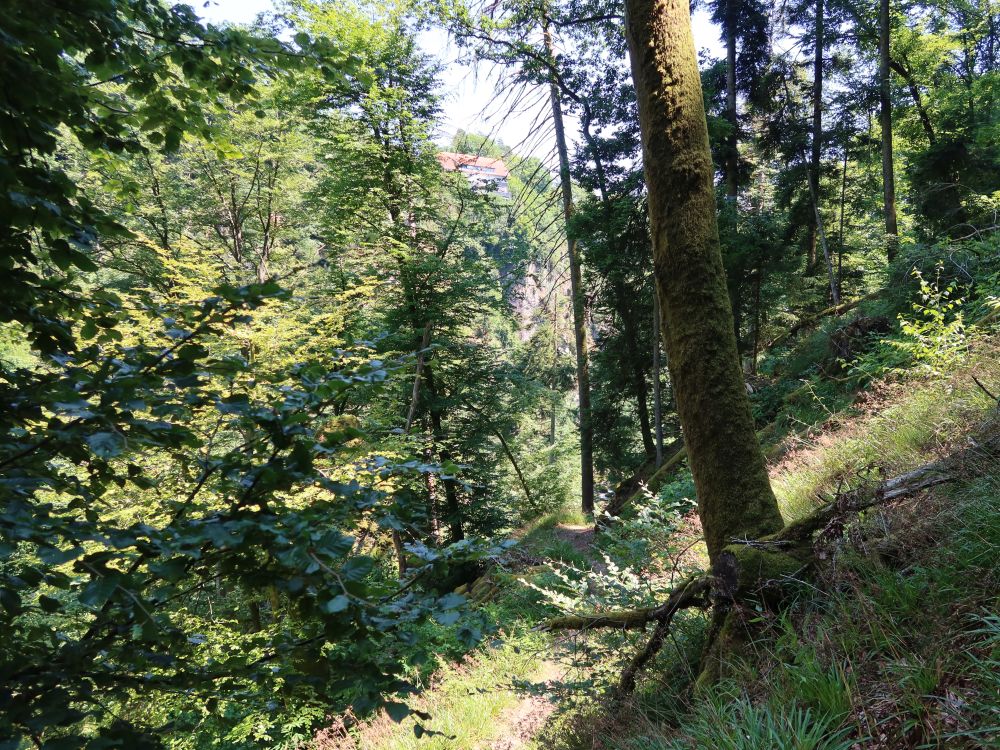 Albsteig