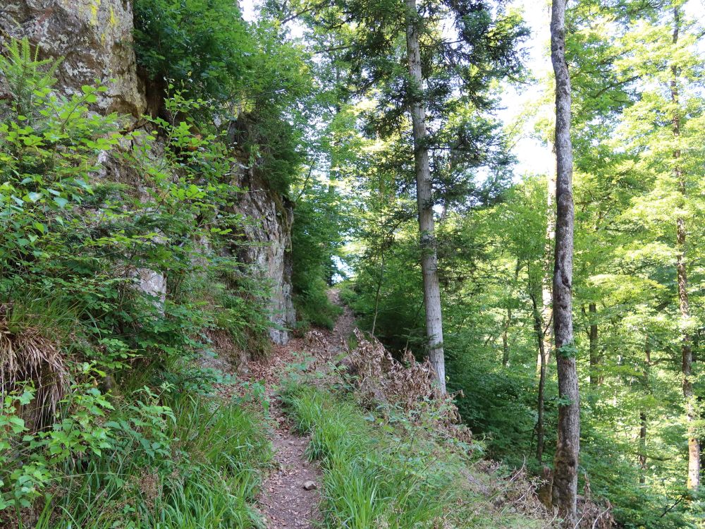 Albsteig
