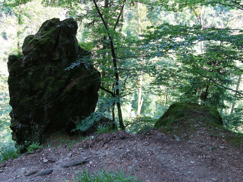 Fels am Albsteig