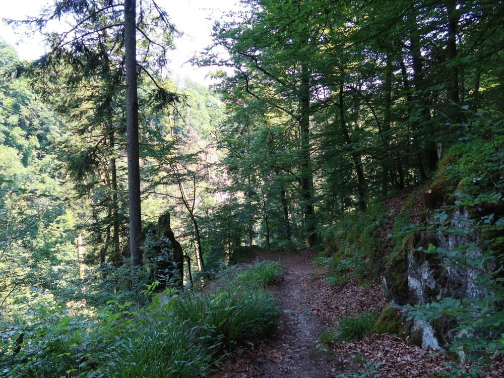 Albsteig
