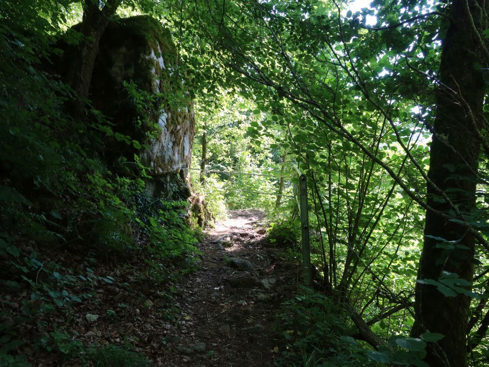 Albsteig