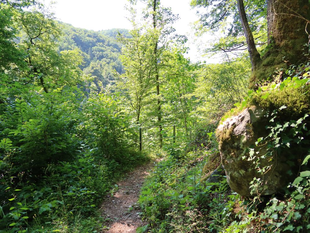 Albsteig
