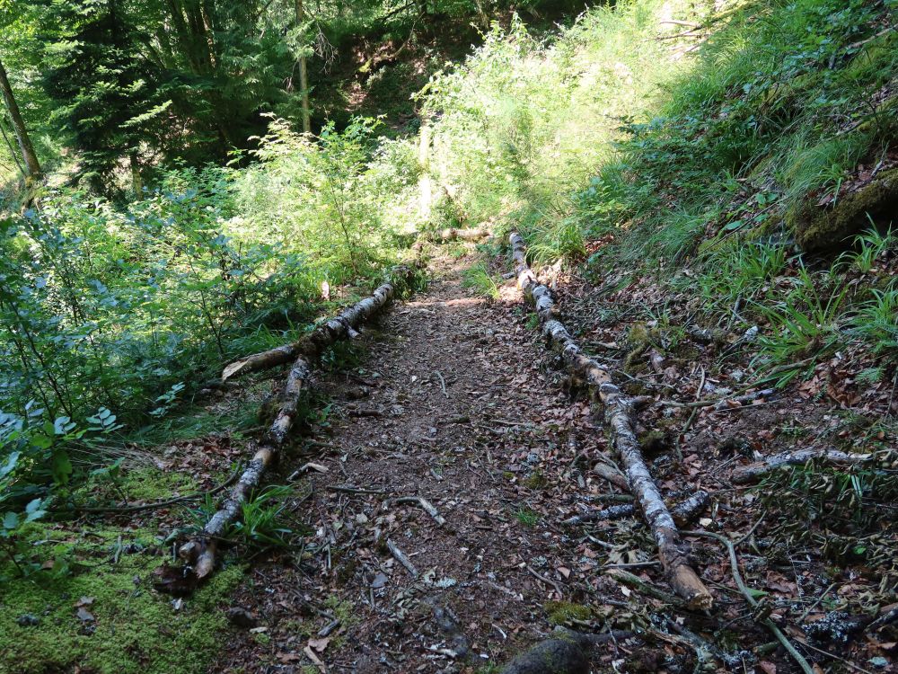 Albsteig