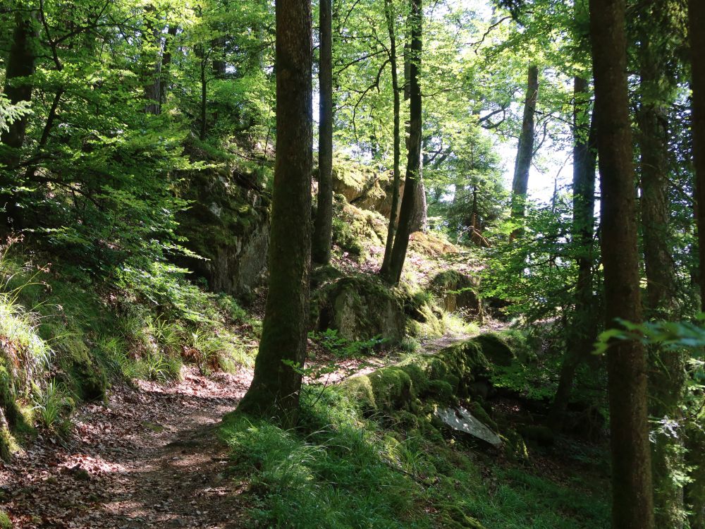 Albsteig