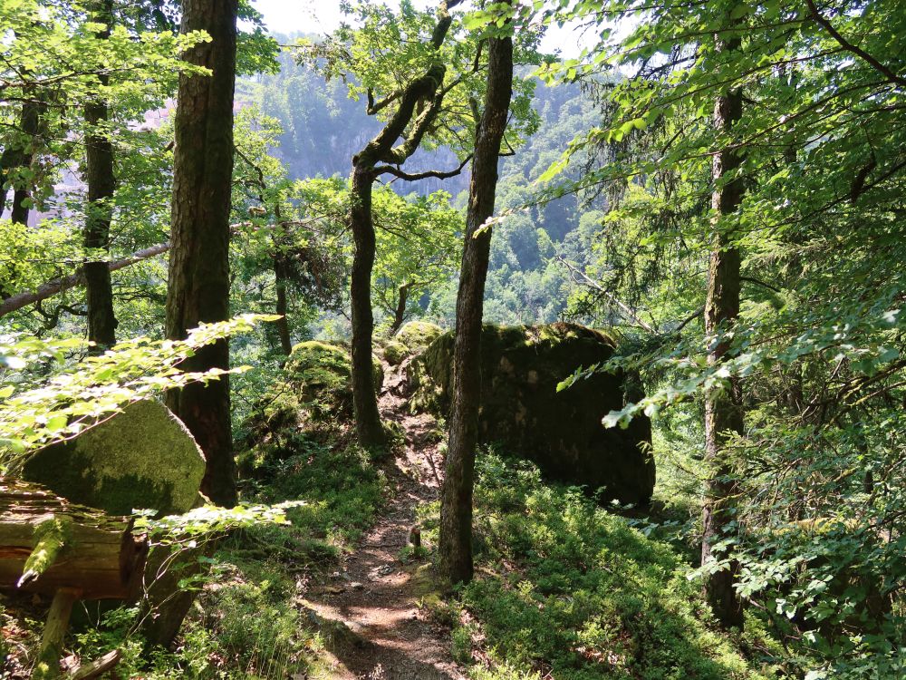 Aussichtskanzel