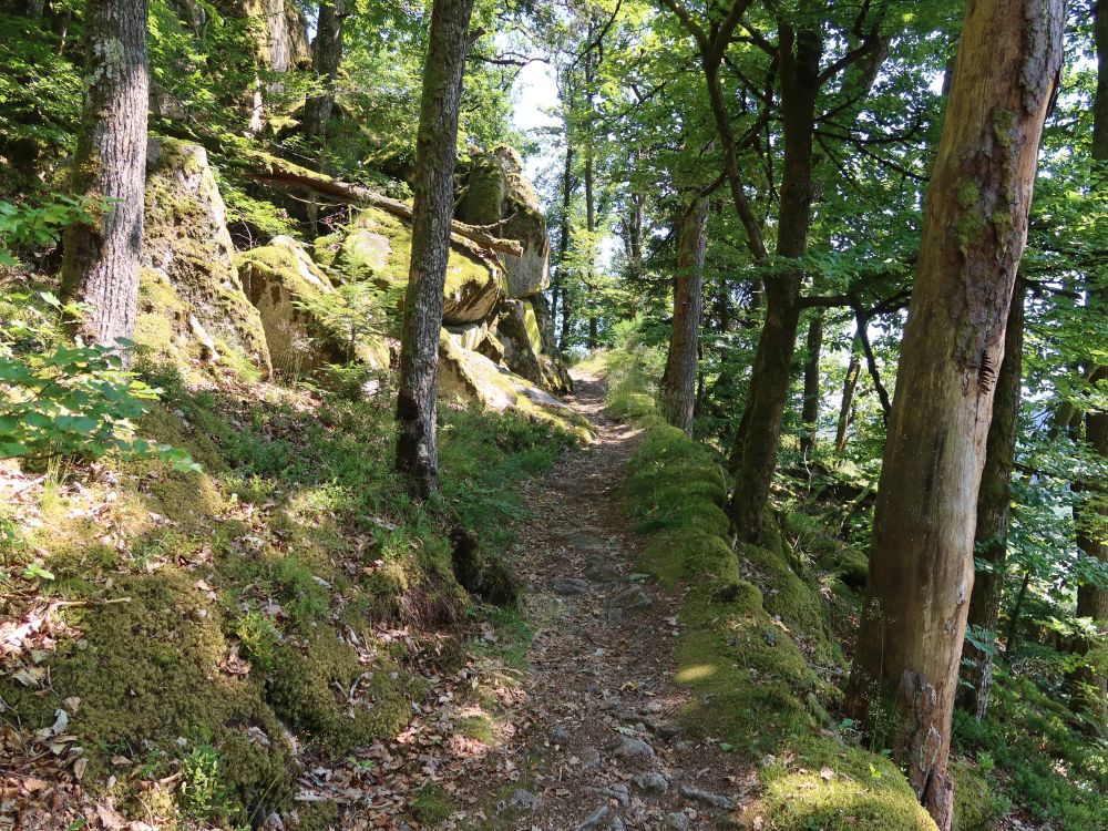 Albsteig