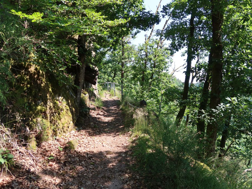 Albsteig