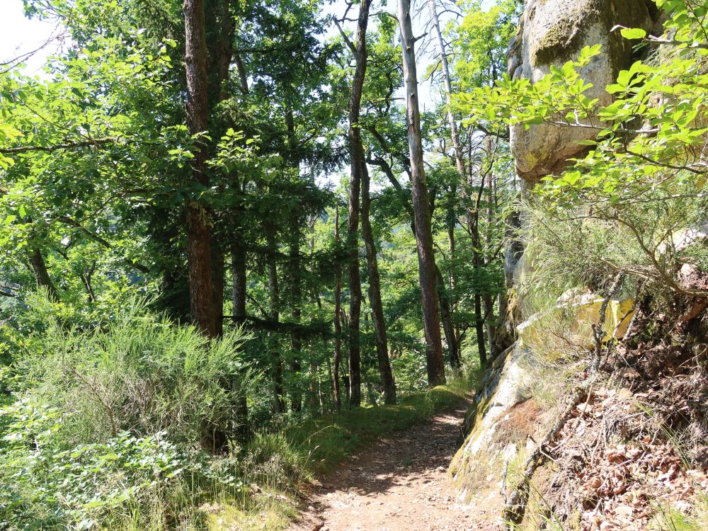 Albsteig