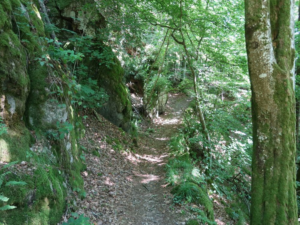 Albsteig