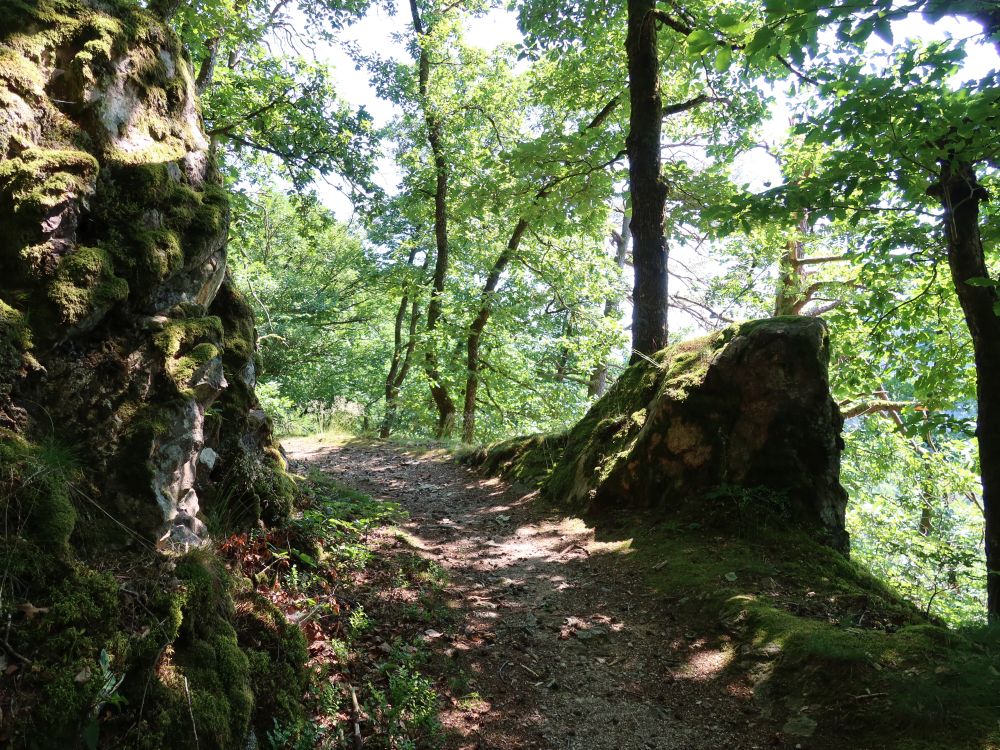 Albsteig