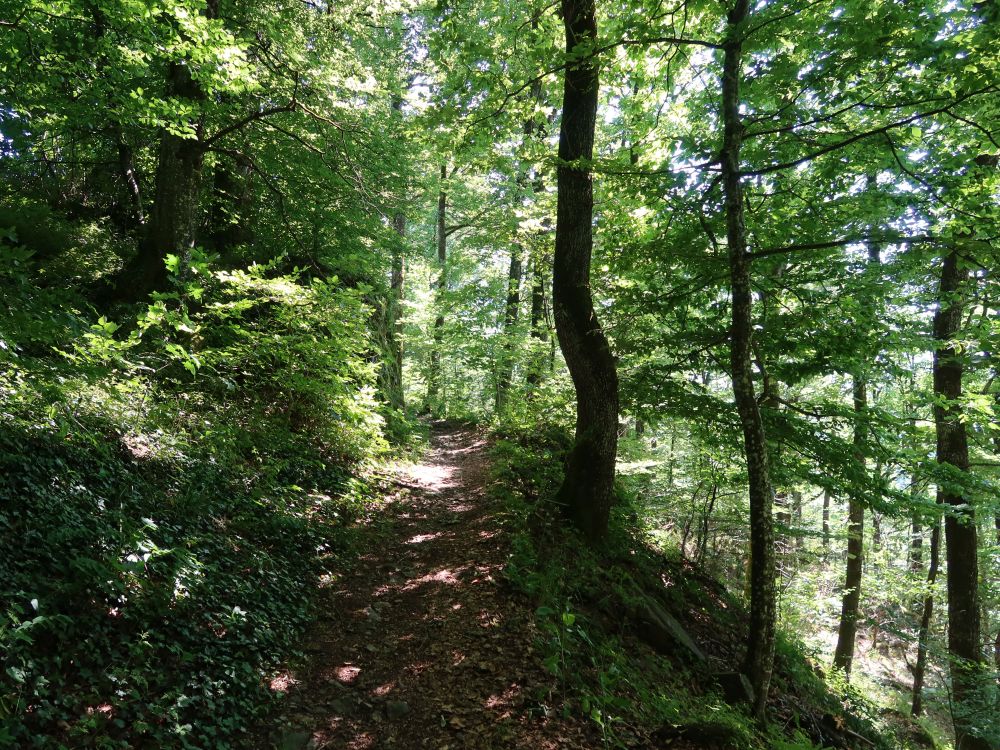 Albsteig
