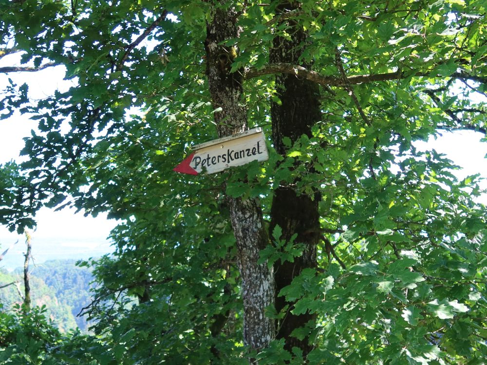 Wegweiser