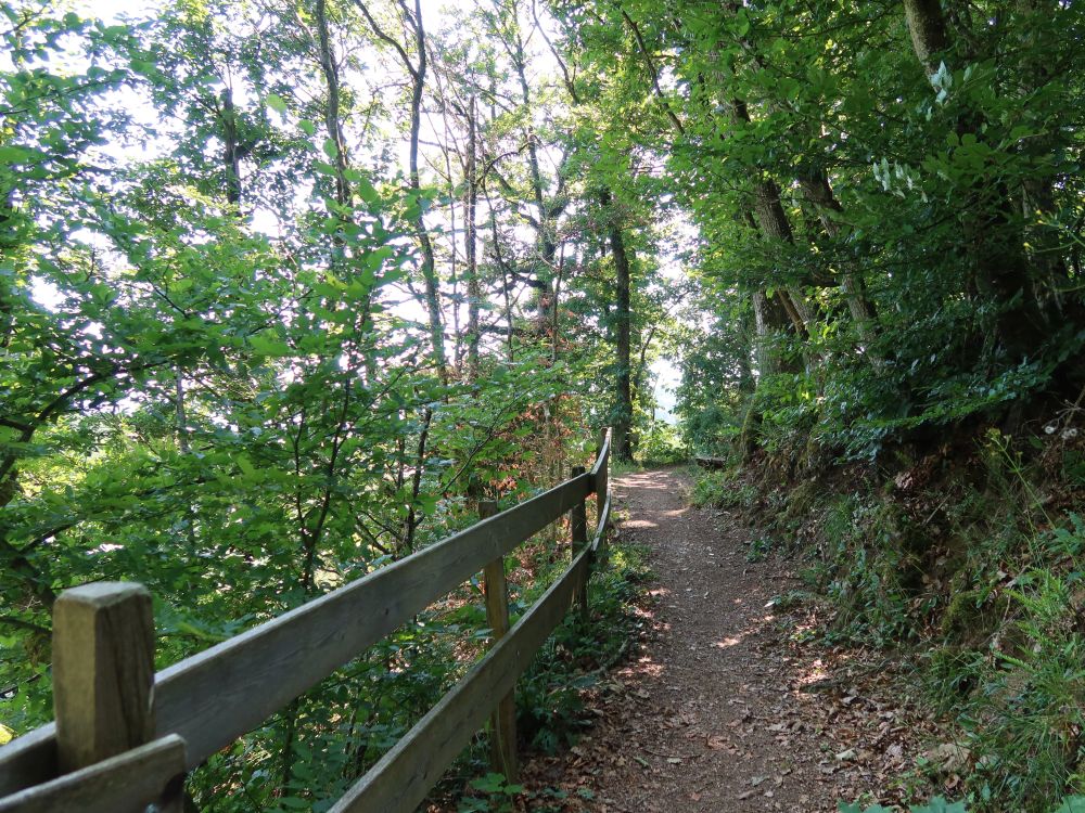 Albsteig