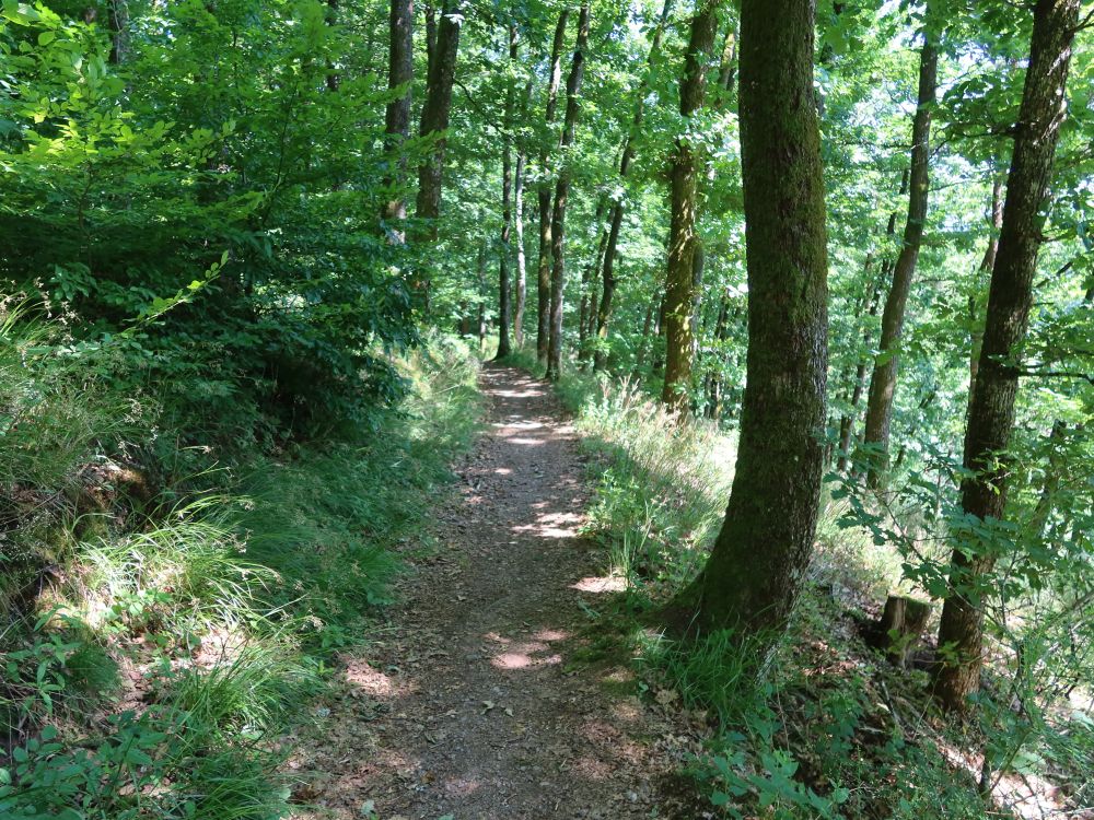 Albsteig