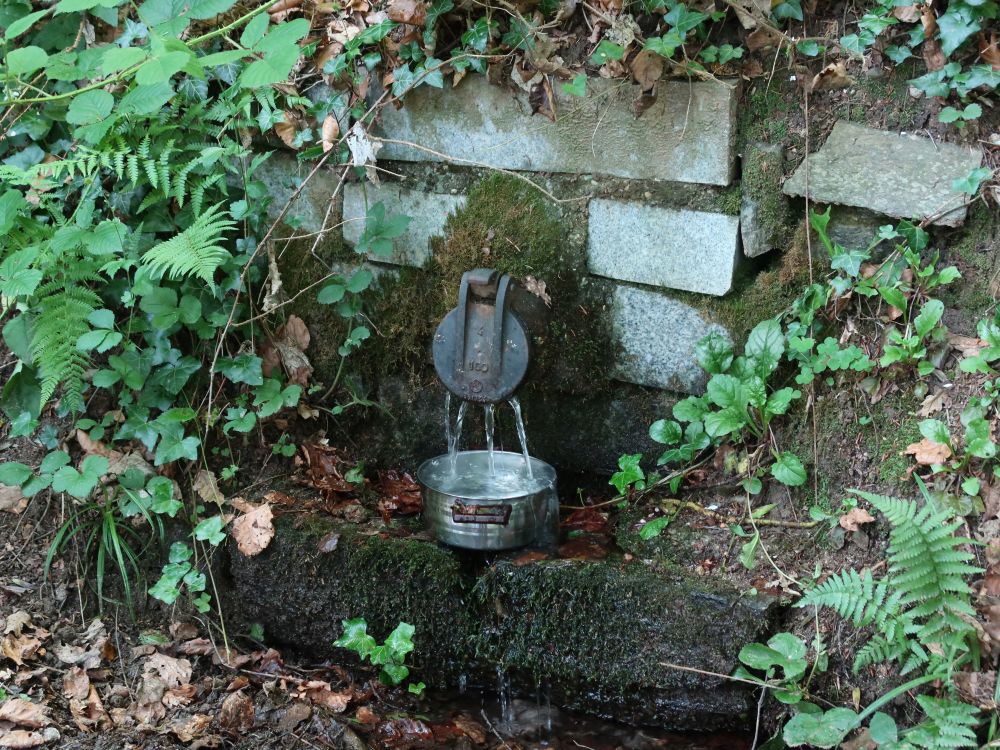 Brunnen